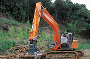 Woodlot