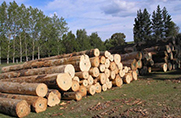 Logging repair mechanic