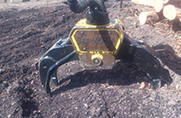 Forestry grapple