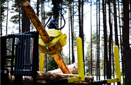 Hultdins grapple loading skidder