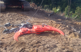 Forestry grapple